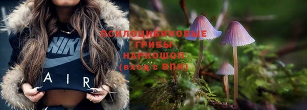 винт Киренск