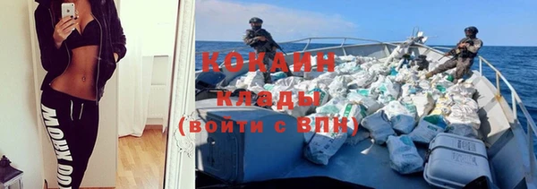 шишки Кинешма