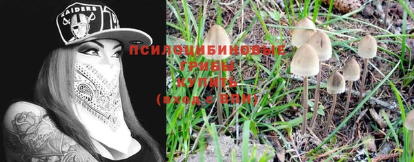винт Киренск