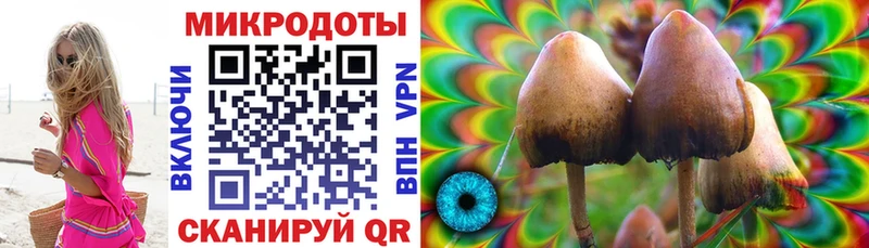 Псилоцибиновые грибы прущие грибы Багратионовск